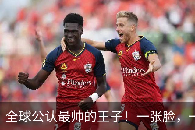全球公认最帅的王子！一张脸，一个笑容，美得惊人！