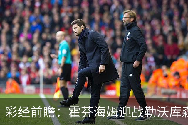 彩经前瞻：霍芬海姆迎战勒沃库森，客队攻势占优，看好药厂胜