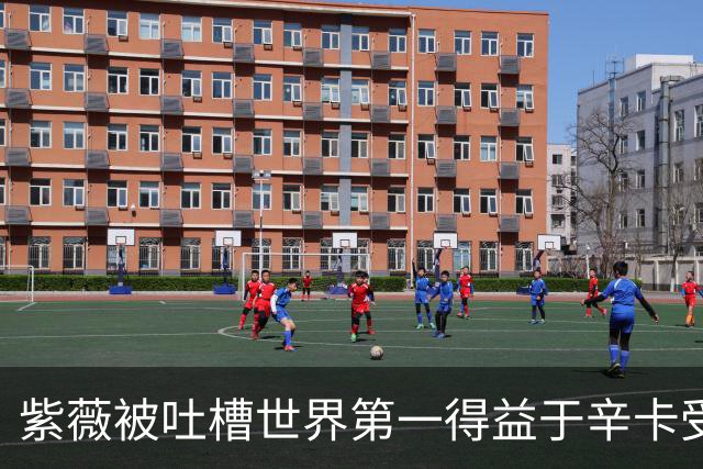 紫薇被吐槽世界第一得益于辛卡受伤，梅总发声力挺：排名100%公平